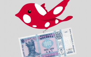 CREDITE PENTRU AFACERI IN LEI MOLDOVENESTI