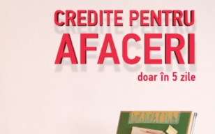 Creditul investitional de la Prime Capital 